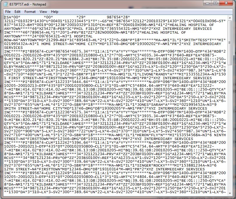 Raw EDI file in Notepad.